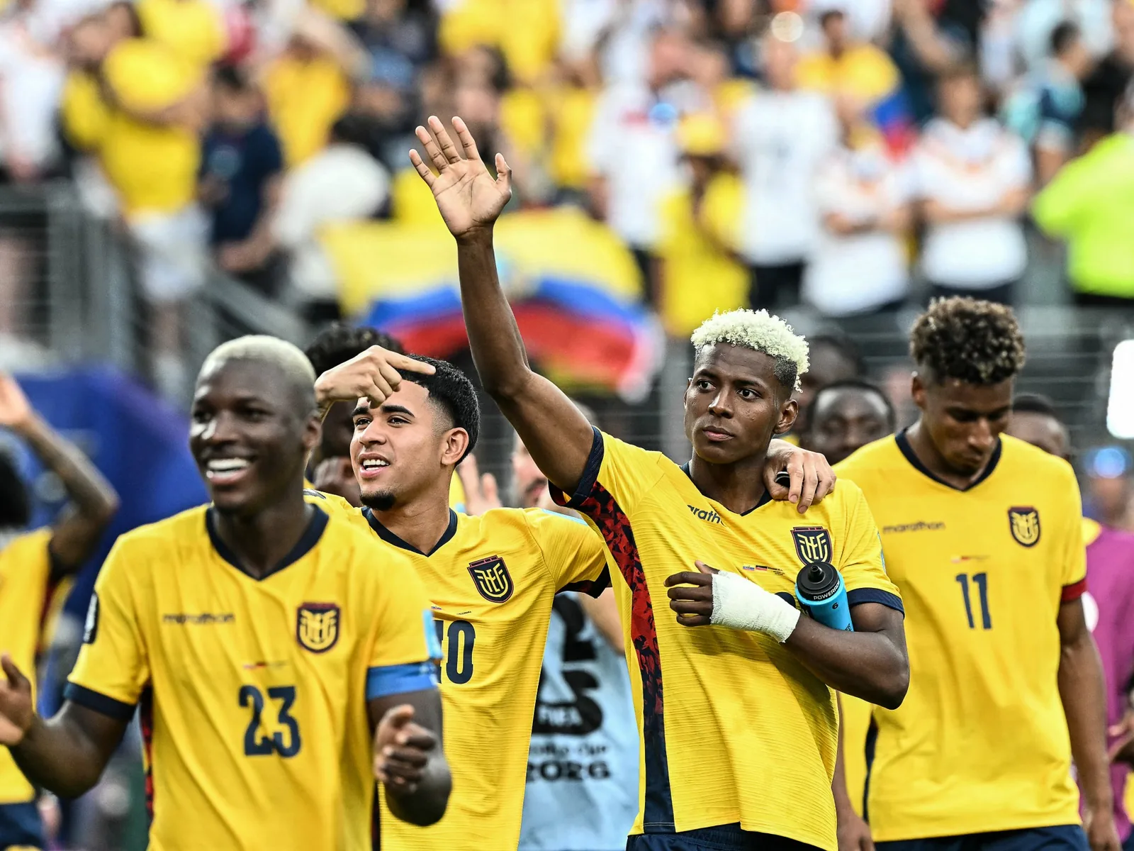 Mexico City: Ecuador files complaint over fan noise before World Cup match