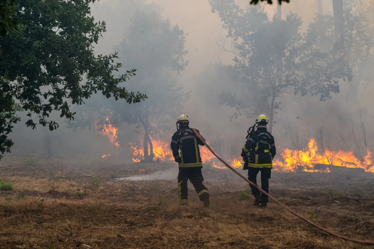 Paris Tour de France finale shortened due to wildfires